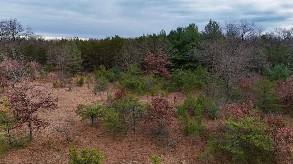 3728 Custer Road Manistee, MI 49660