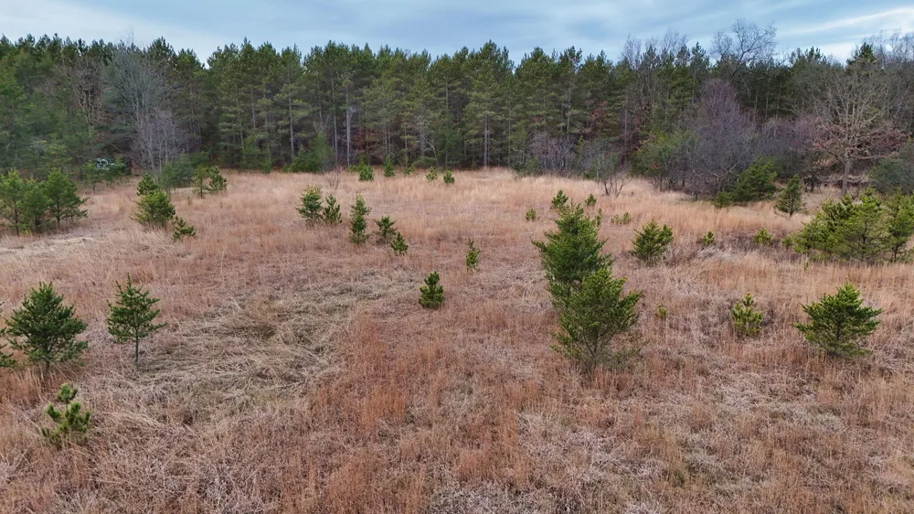 3728 Custer Road Manistee, MI 49660
