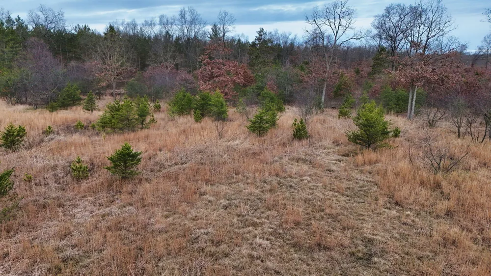 3728 Custer Road Manistee, MI 49660