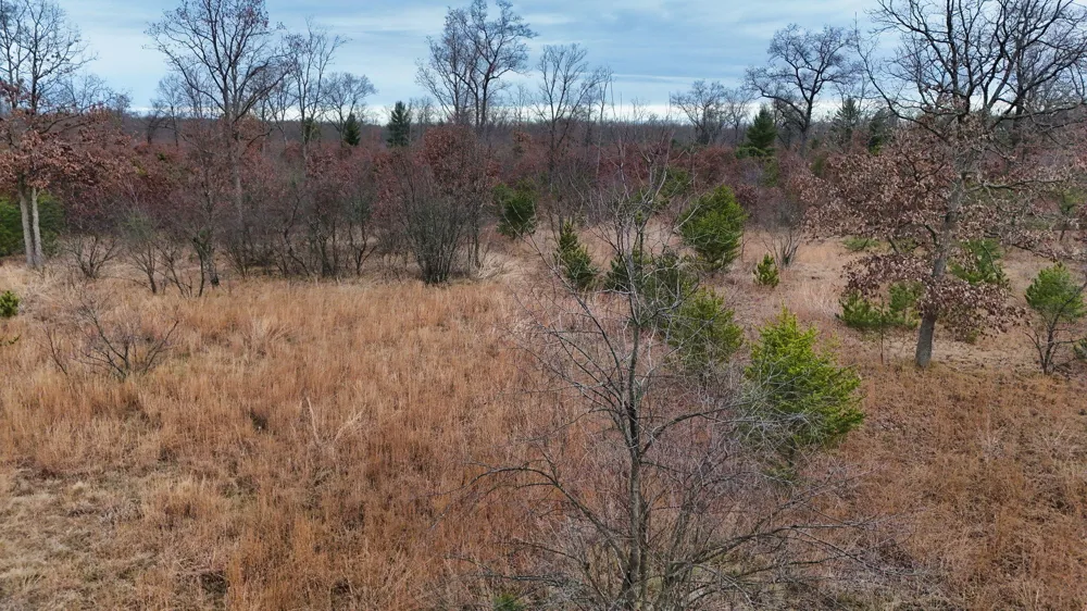 3728 Custer Road Manistee, MI 49660