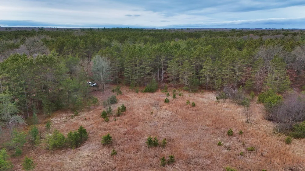 3728 Custer Road Manistee, MI 49660