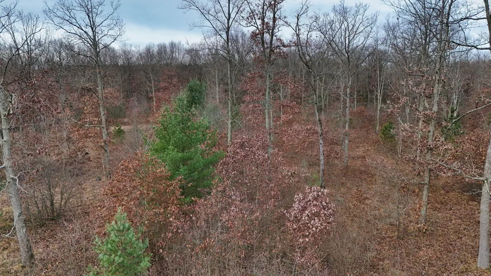 3728 Custer Road Manistee, MI 49660
