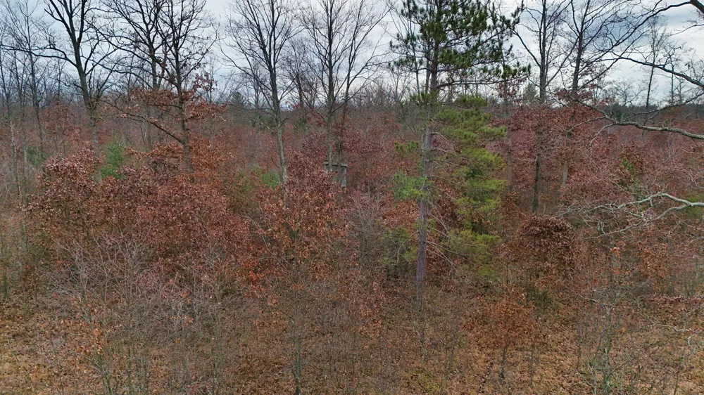 3728 Custer Road Manistee, MI 49660