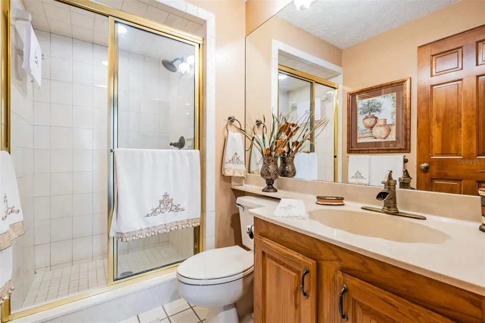 13203 SPINDLEWYCK COVE Riverview, FL 33569