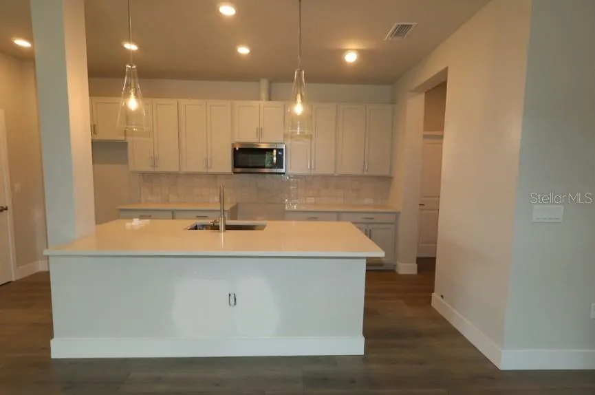 2794 SOLETA VIEW Odessa, FL 33556