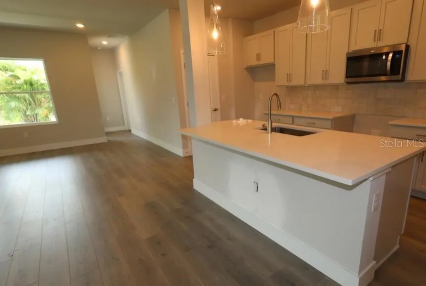 2794 SOLETA VIEW Odessa, FL 33556