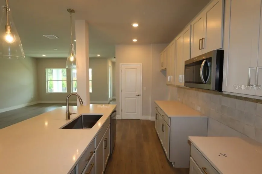 2794 SOLETA VIEW Odessa, FL 33556