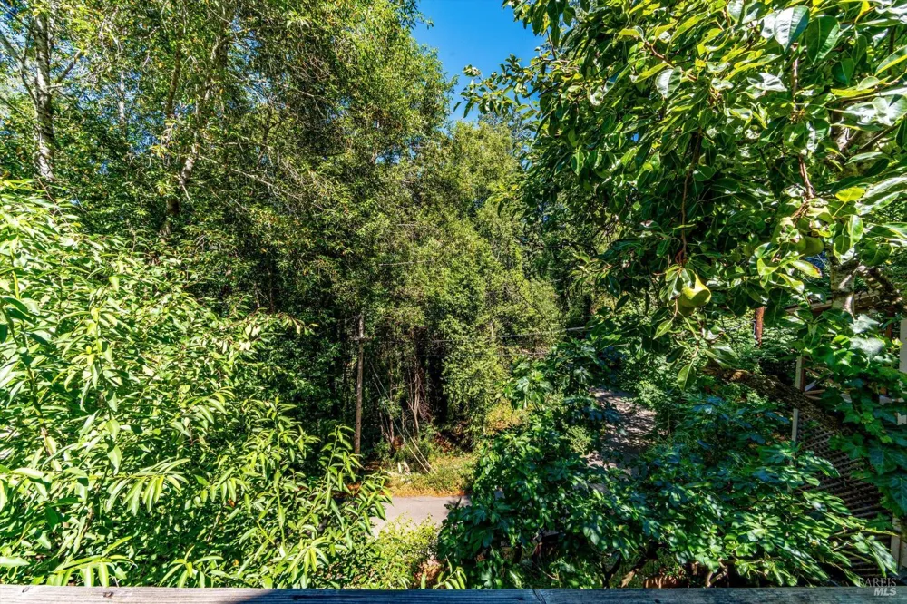 28 Mcclure Avenue Camp Meeker, CA 95419