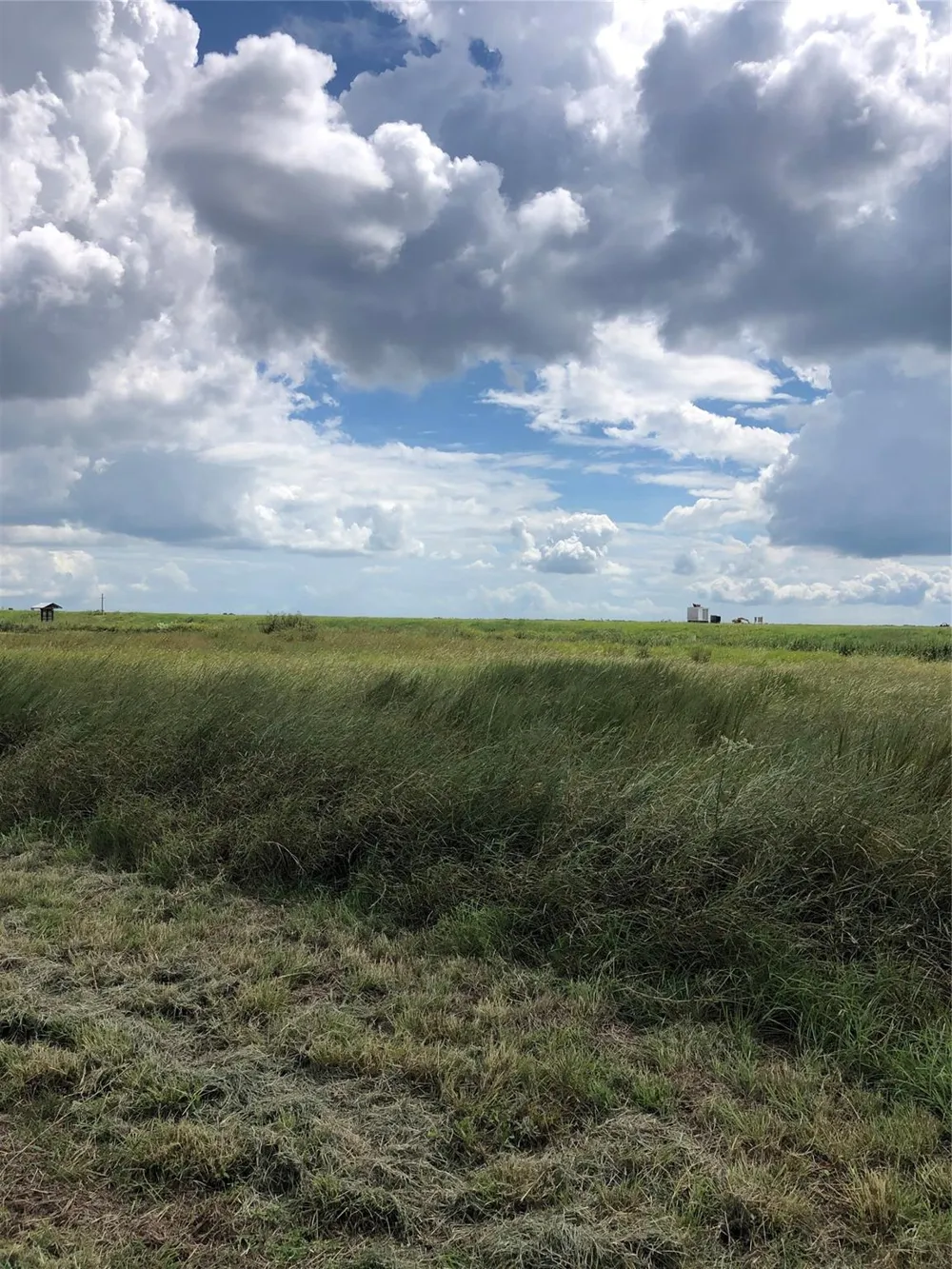 166 Coral Lane Palacios, TX 77465