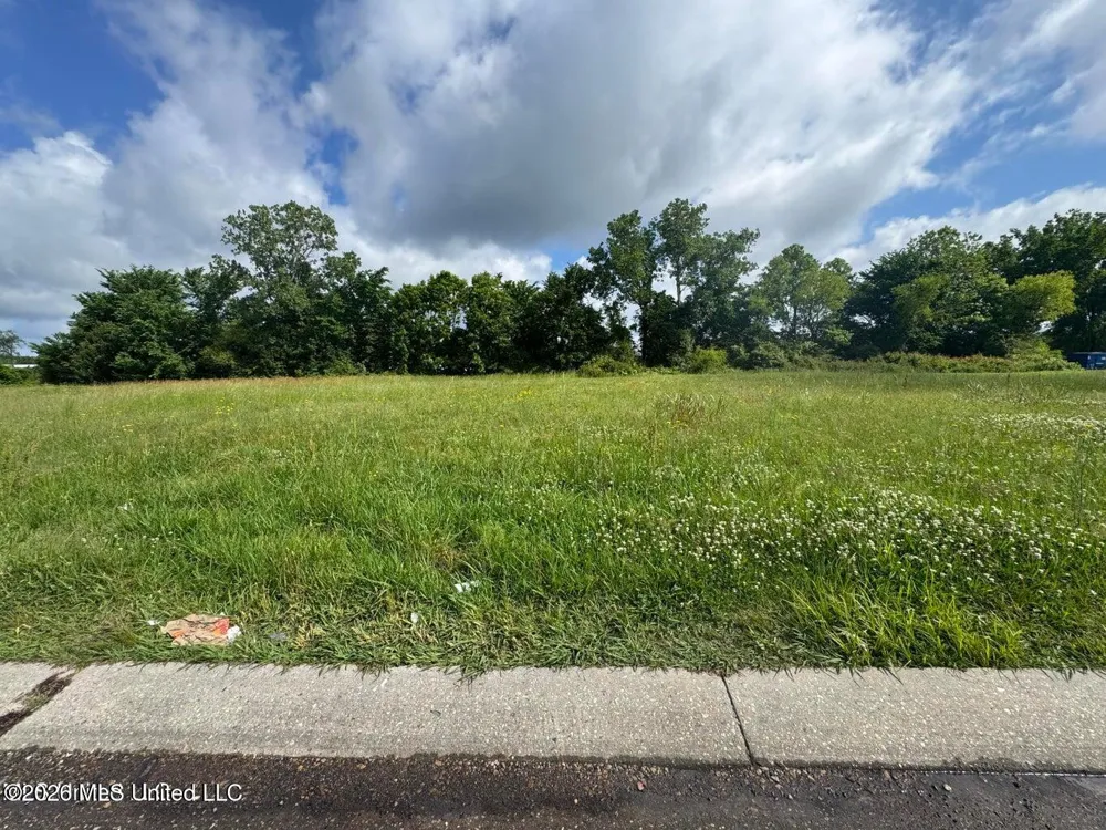 Dancy Boulevard Horn Lake, MS 38637