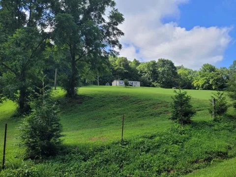 339 County Road 61