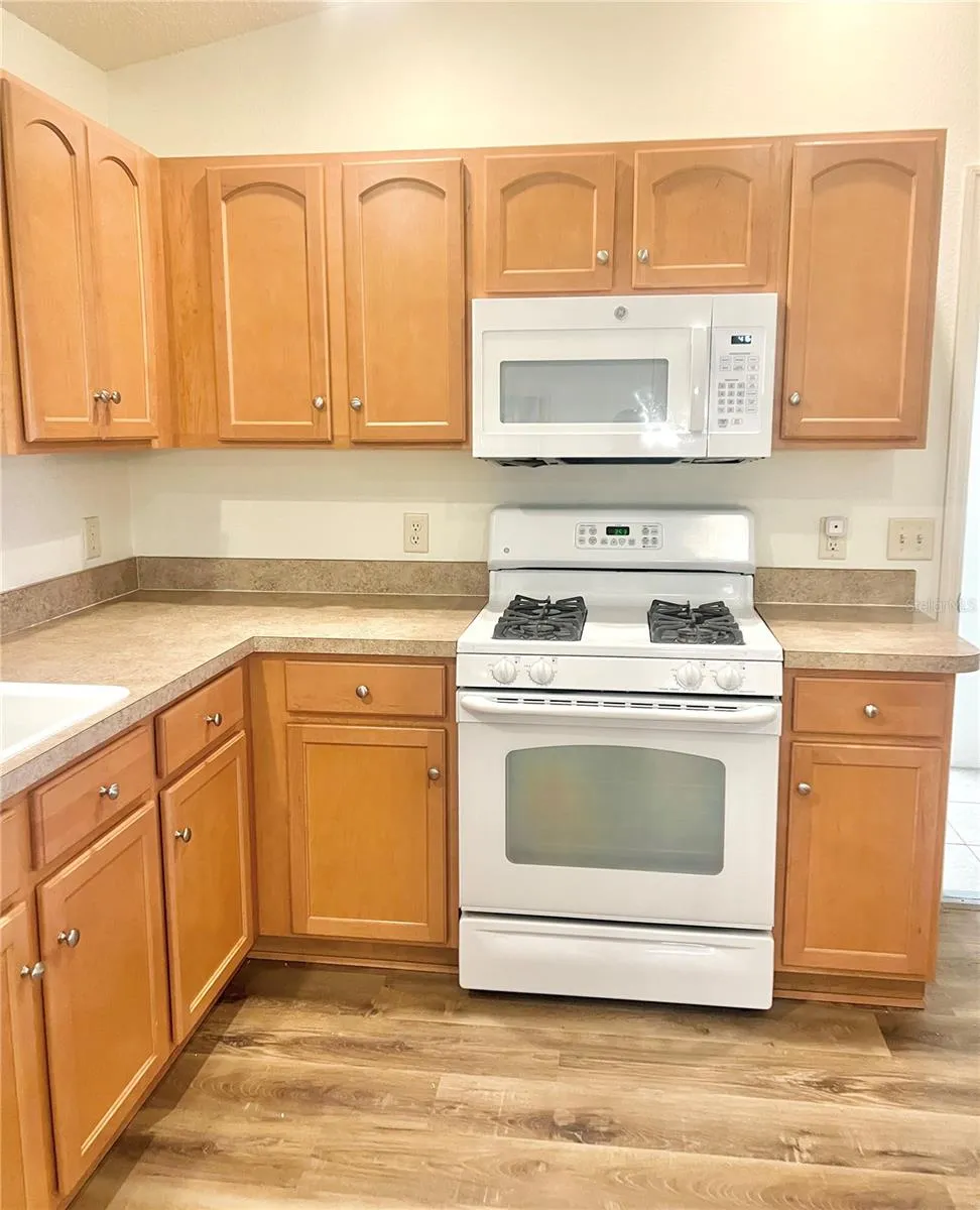 1704 LISETTE WAY The Villages, FL 32162