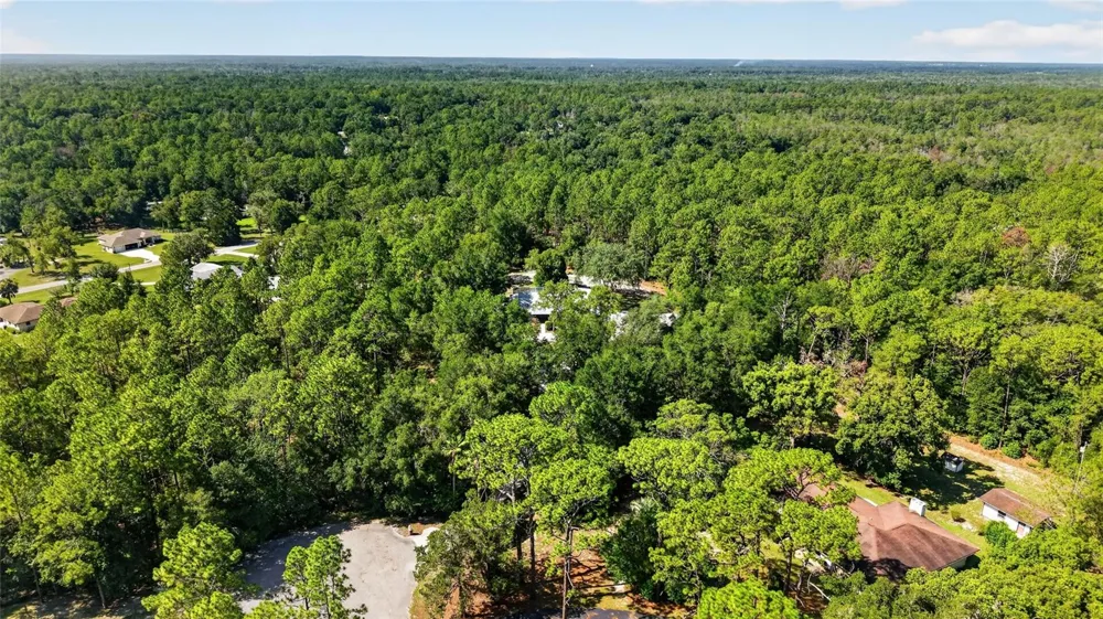9000 SW 203RD COURT Dunnellon, FL 34431