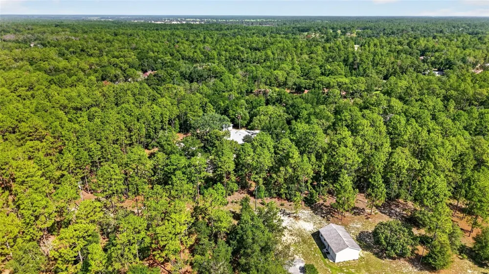 9000 SW 203RD COURT Dunnellon, FL 34431