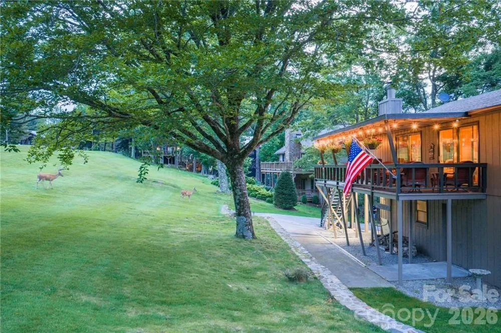 107 Grassy Gap Loop Road Beech Mountain, NC 28604