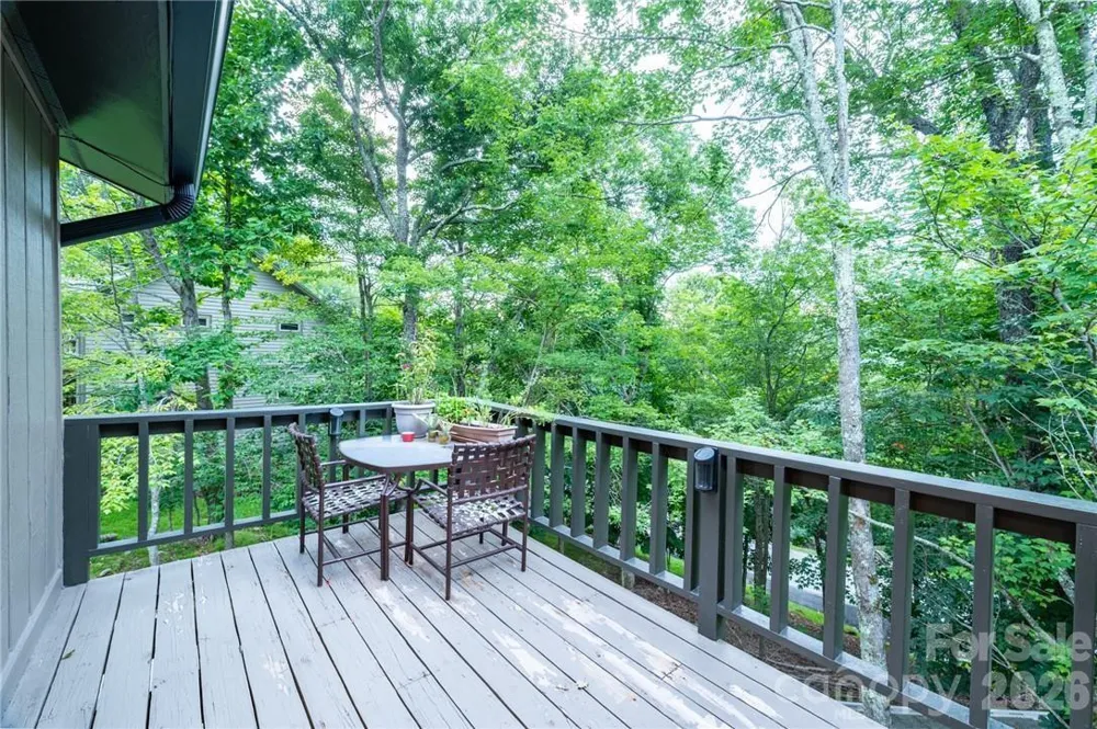 107 Grassy Gap Loop Road Beech Mountain, NC 28604