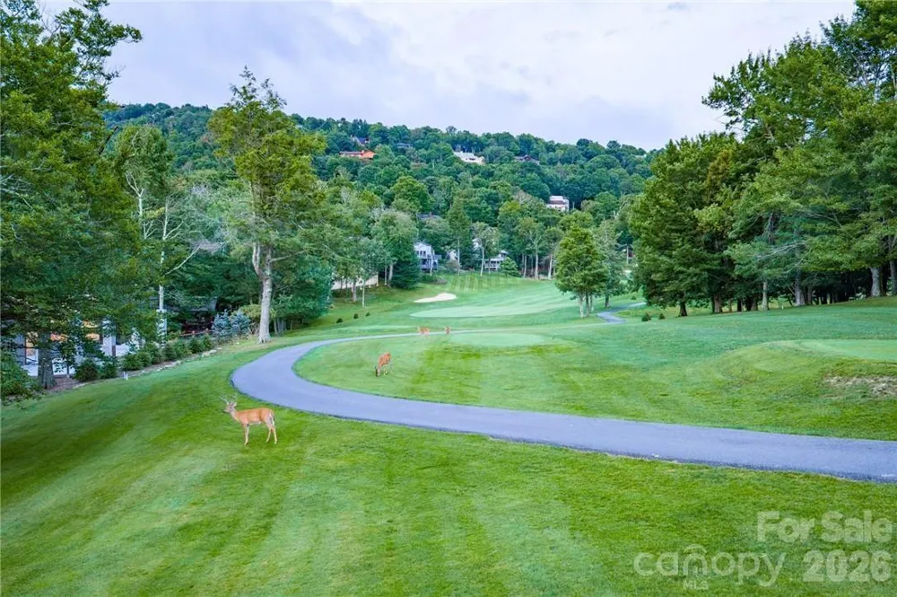107 Grassy Gap Loop Road Beech Mountain, NC 28604