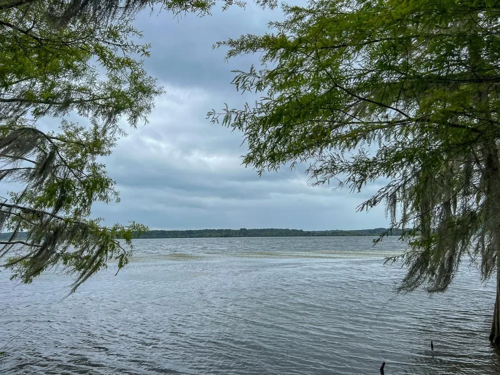 4 Arledge Trail/Off Gateway Meadows Mason, TX 75948