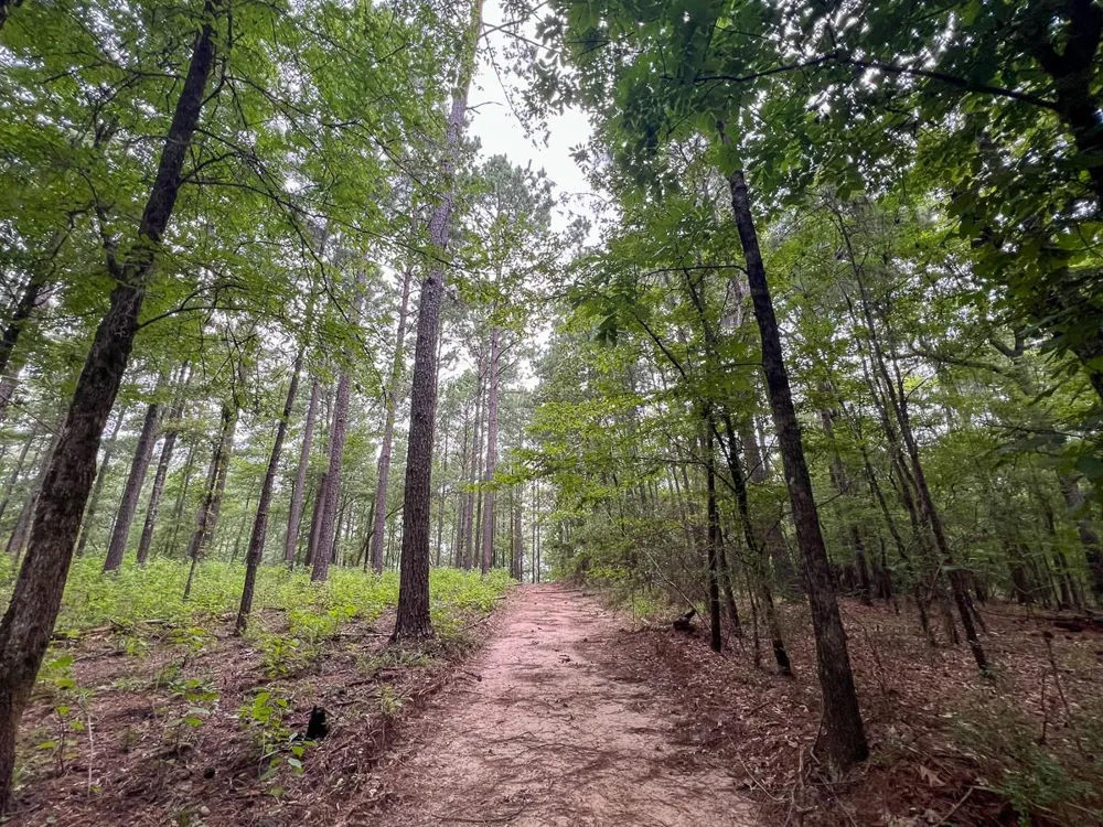4 Arledge Trail/Off Gateway Meadows Mason, TX 75948