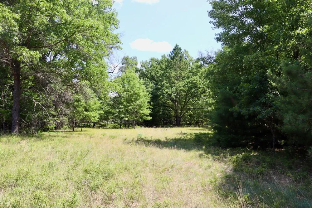 3 E Greenwood Road Prescott, MI 48756