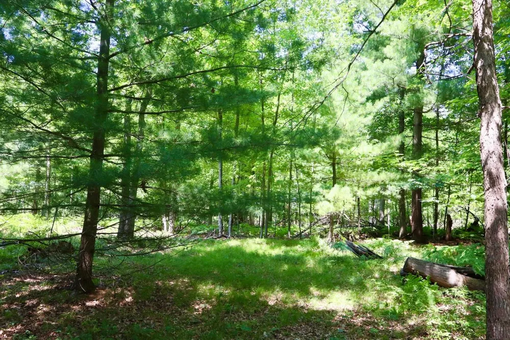 3 E Greenwood Road Prescott, MI 48756