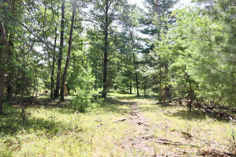 3 E Greenwood Road Prescott, MI 48756