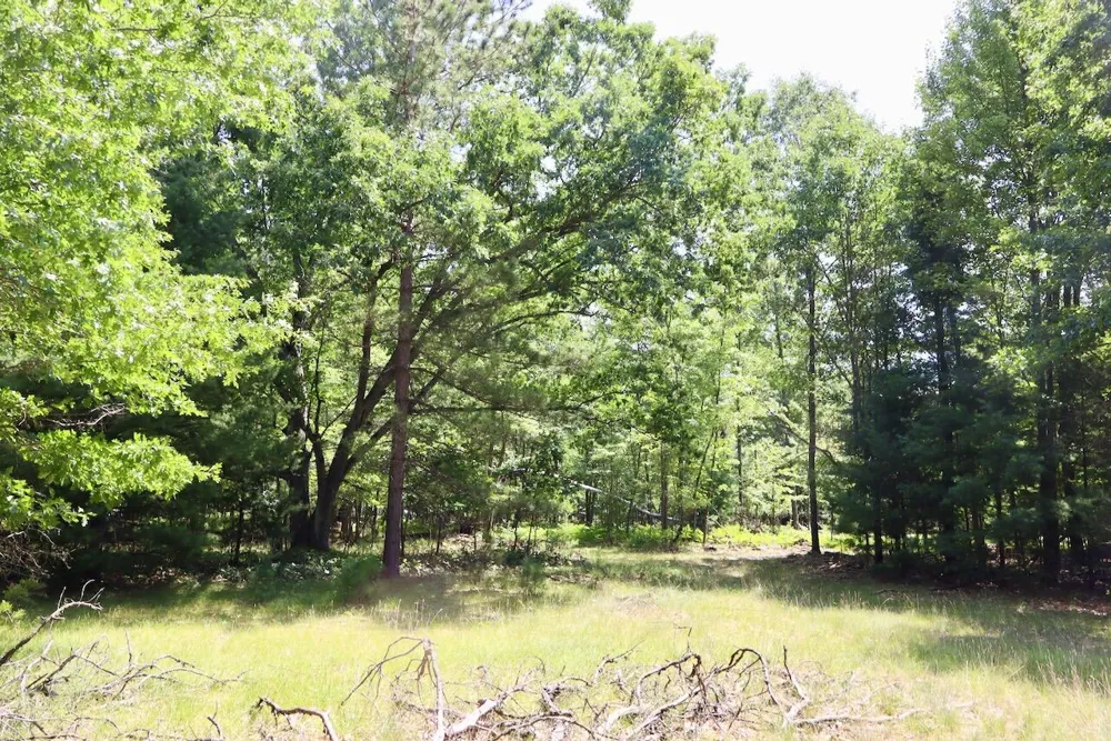 3 E Greenwood Road Prescott, MI 48756