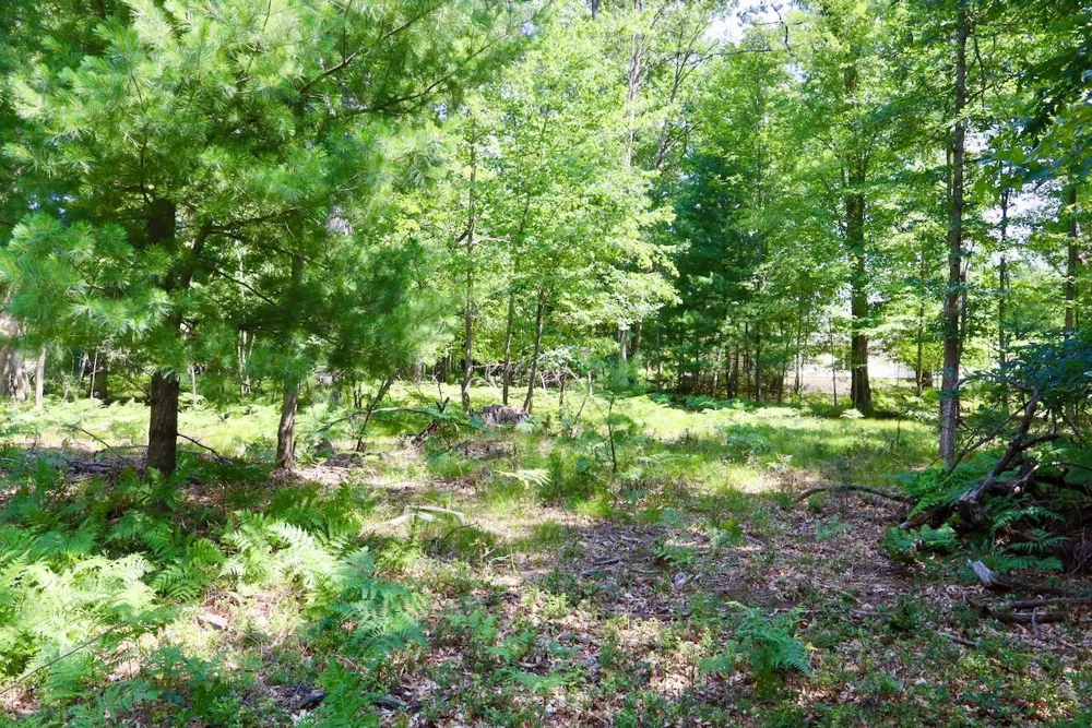3 E Greenwood Road Prescott, MI 48756