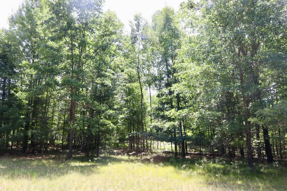 3 E Greenwood Road Prescott, MI 48756