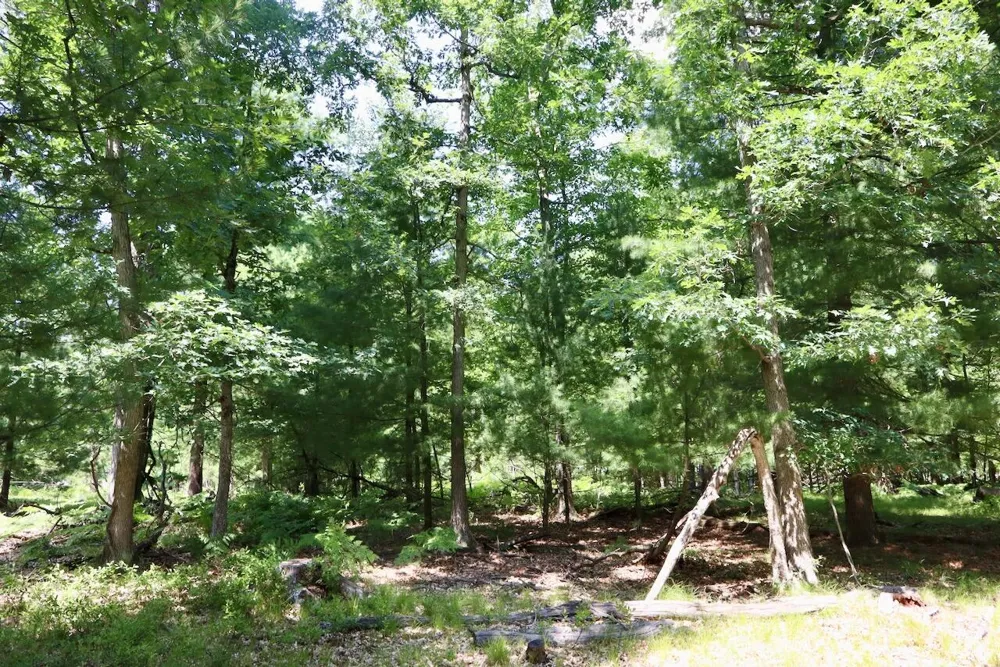 3 E Greenwood Road Prescott, MI 48756