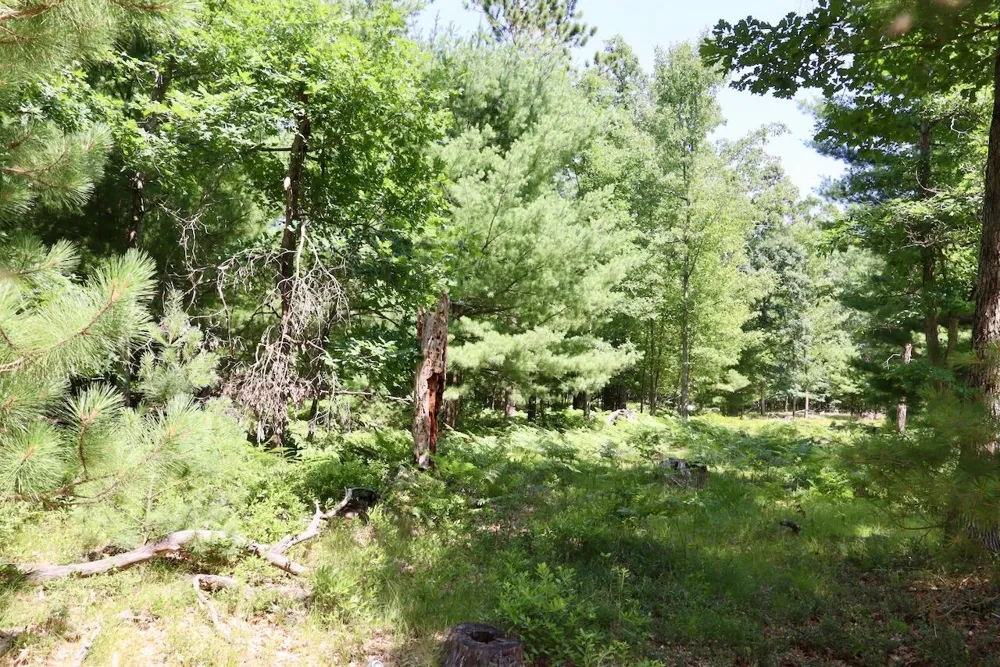 3 E Greenwood Road Prescott, MI 48756
