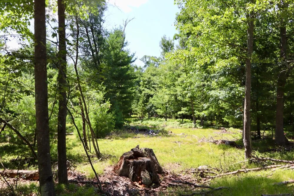 3 E Greenwood Road Prescott, MI 48756