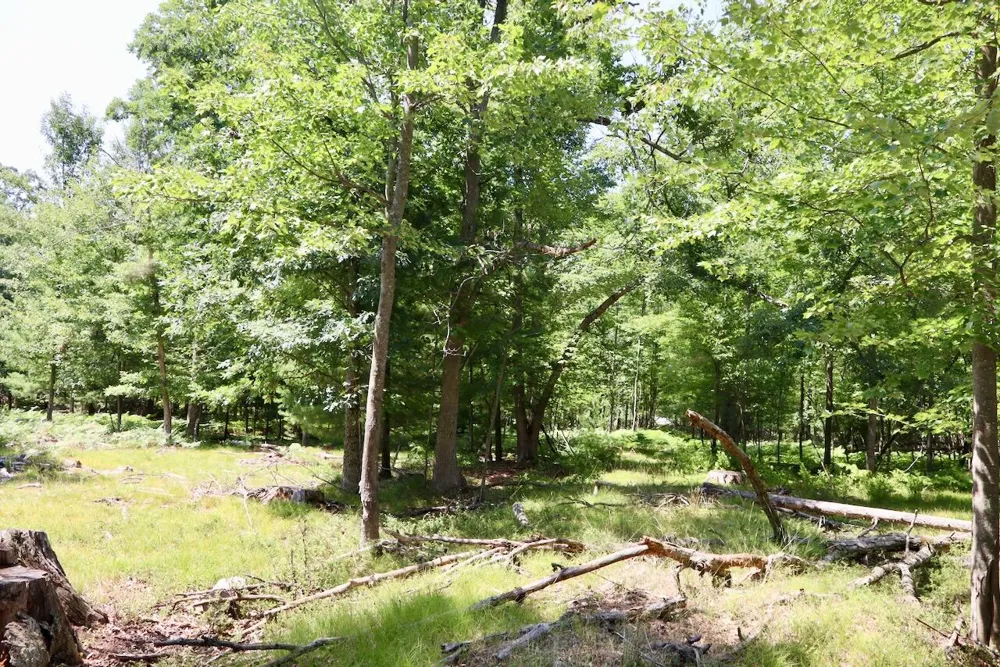 3 E Greenwood Road Prescott, MI 48756
