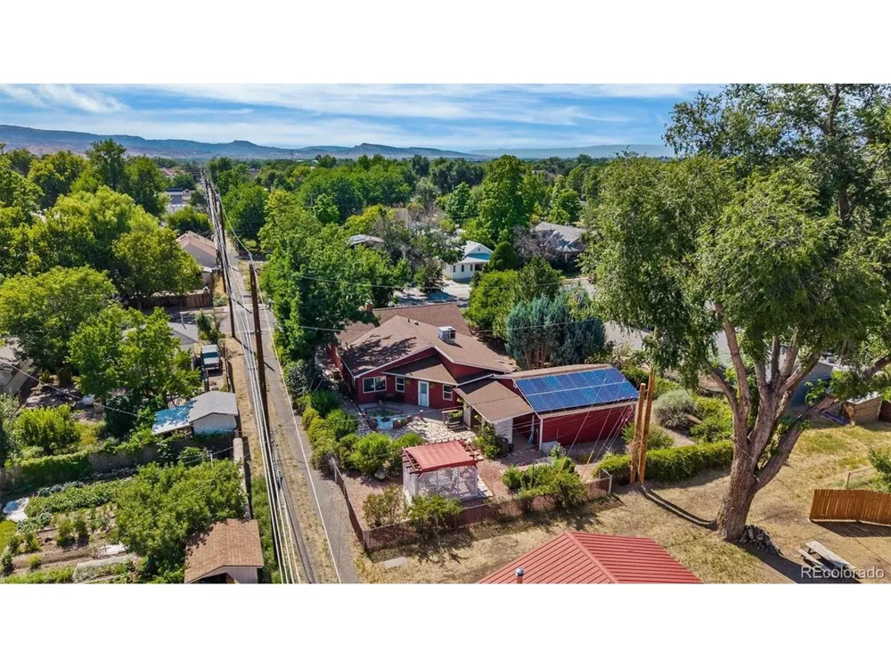 124 Ash Street Fruita, CO 81521