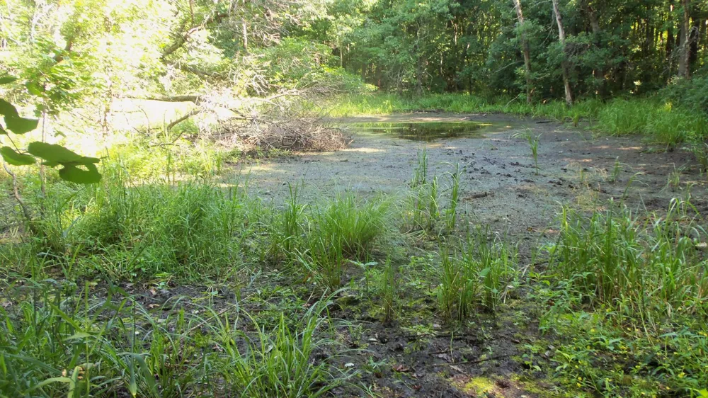 Lot 2 Howard Johnson Trl Siren, WI 54872