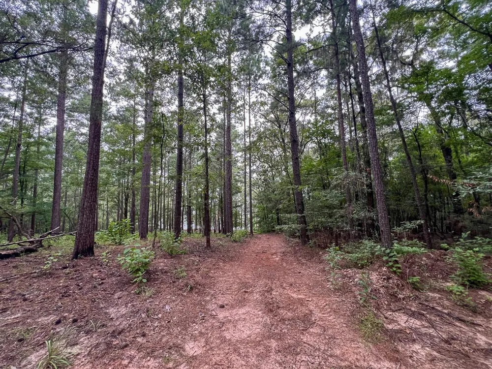 5 Arledge Trail/Off Gateway Meadows Mason, TX 75948