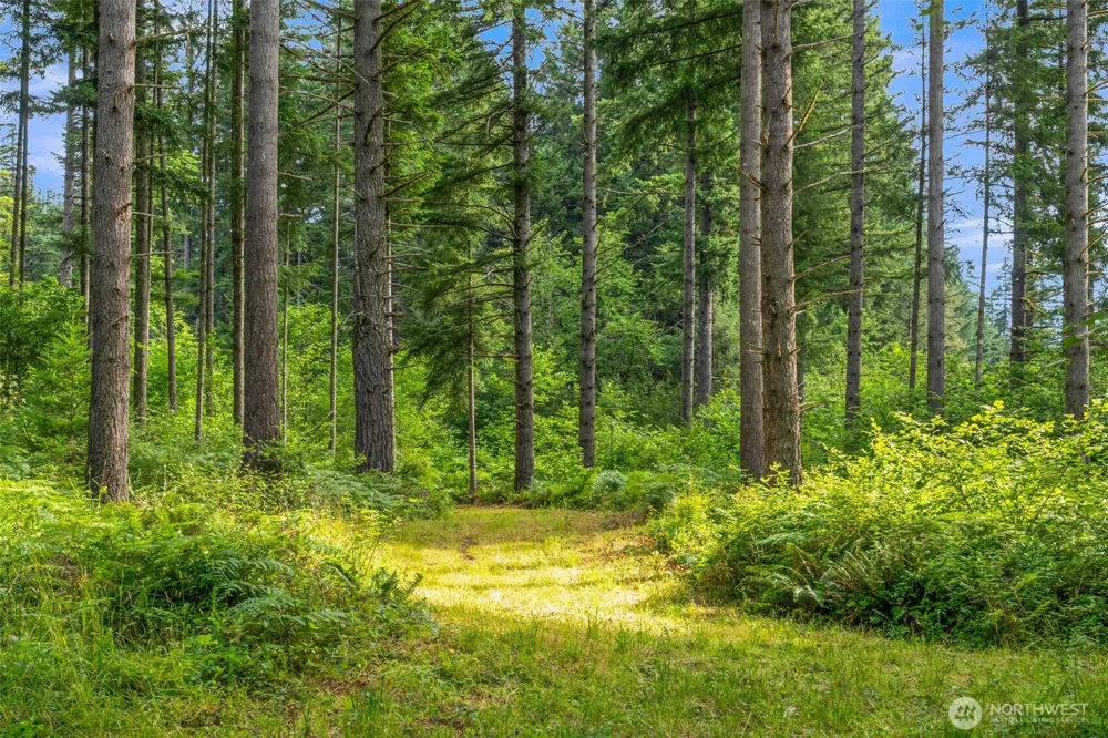 3832 NE Cavitt Road Camas, WA 98607