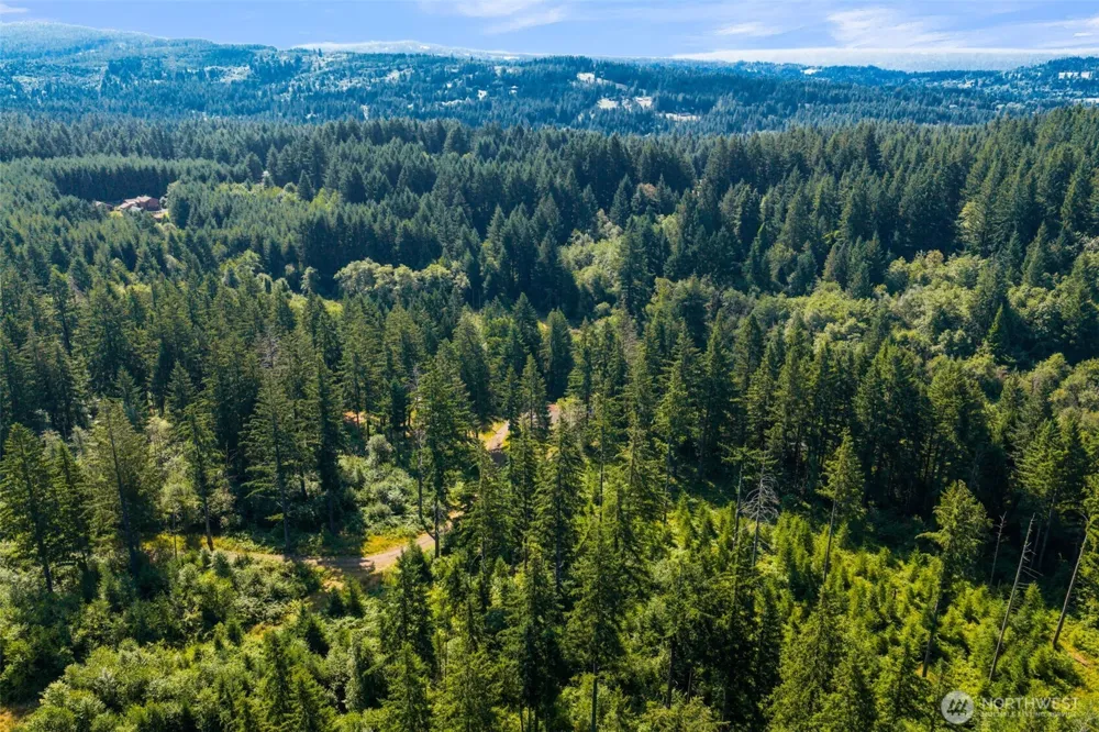 3832 NE Cavitt Road Camas, WA 98607