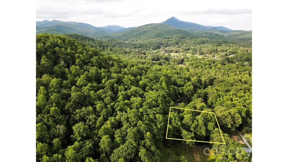01 Coffey Road Linville, NC 28646