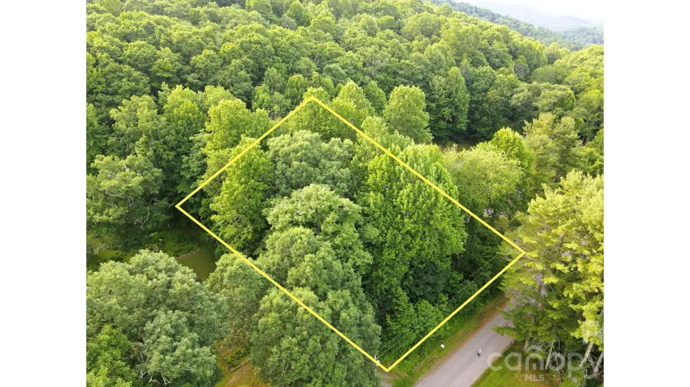 01 Coffey Road Linville, NC 28646