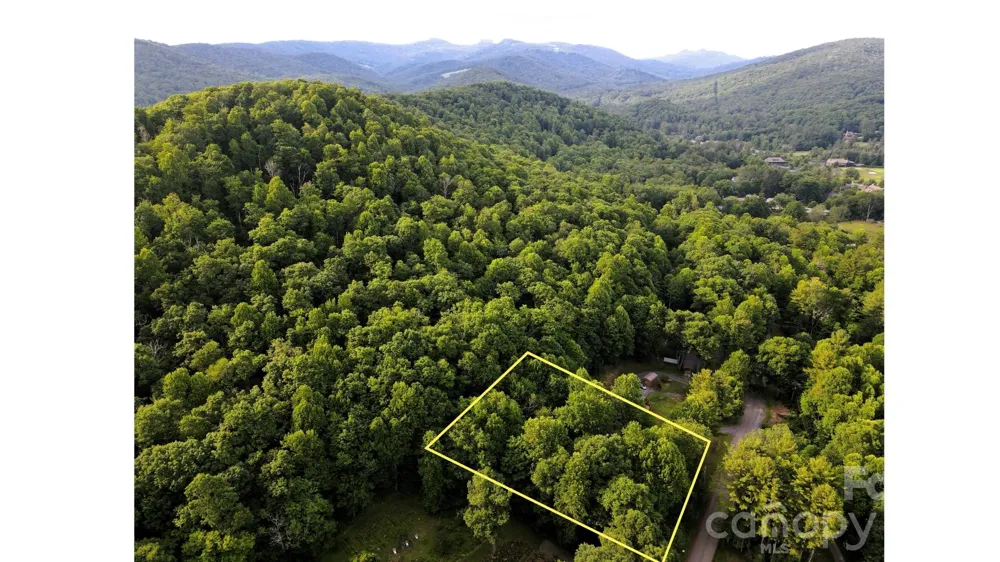 01 Coffey Road Linville, NC 28646