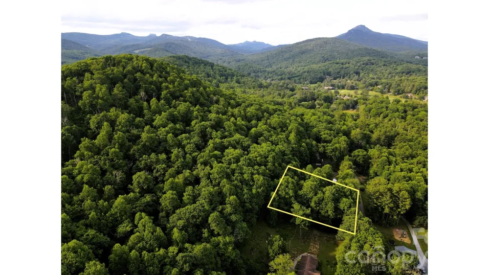 01 Coffey Road Linville, NC 28646