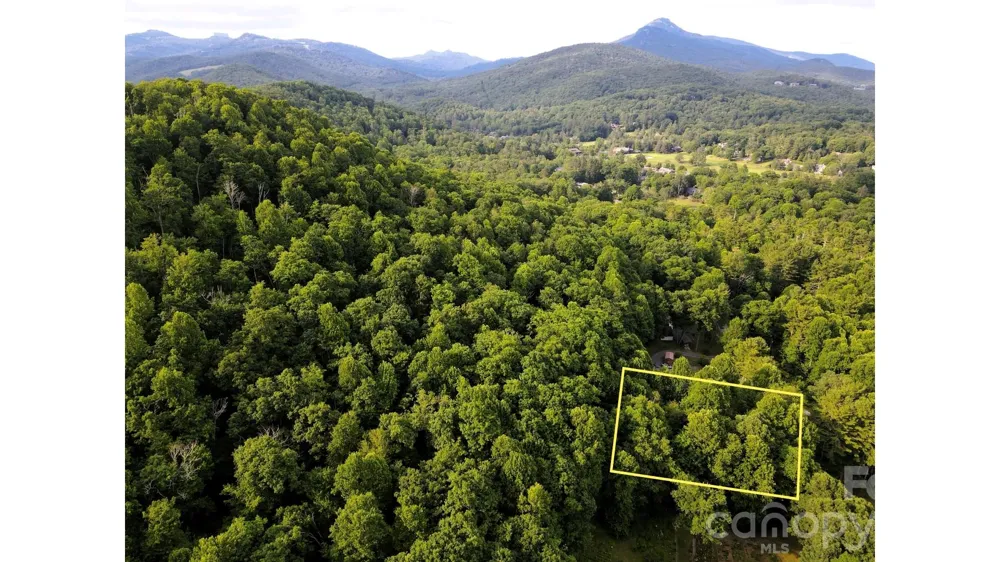 01 Coffey Road Linville, NC 28646