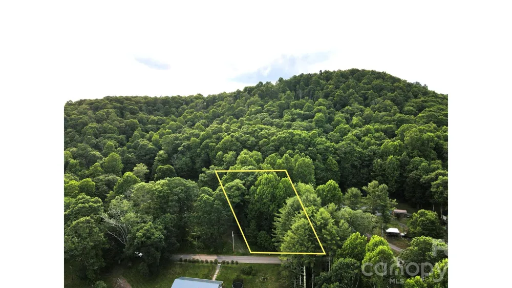01 Coffey Road Linville, NC 28646
