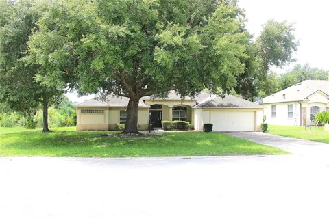 771 MOUNTAIN ASH