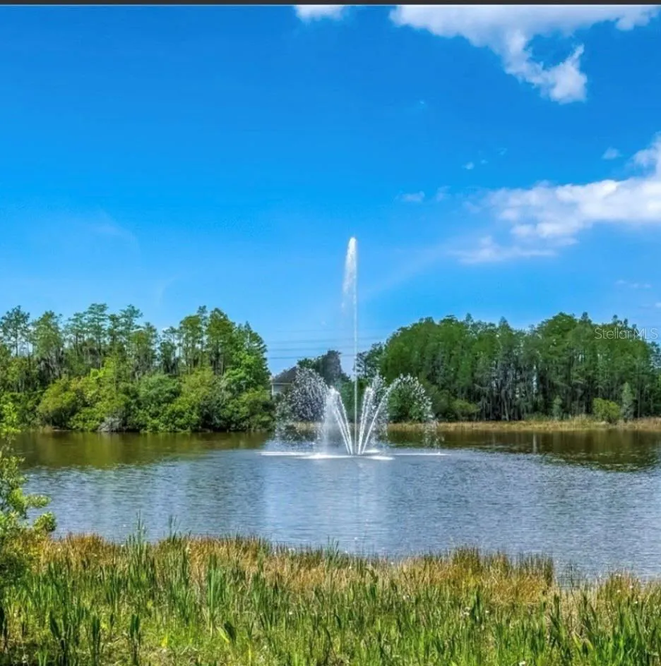 10409 CRIMSON PARK LANE #105 Tampa, FL 33626