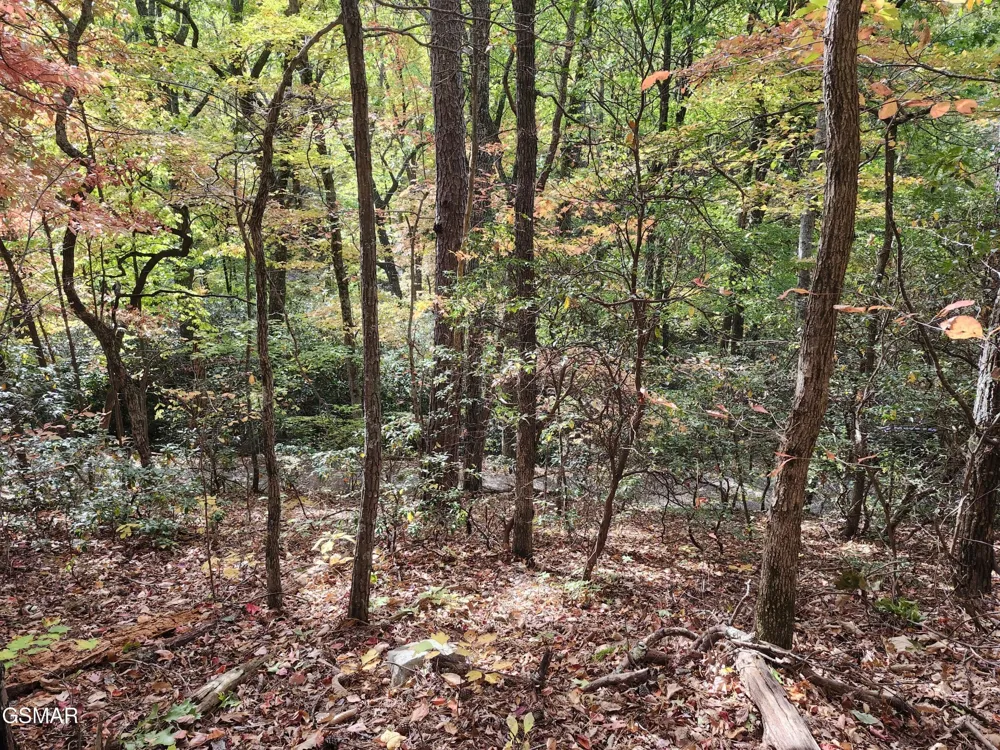 11 Bluff Mtn. Rd. Sevierville, TN 37876