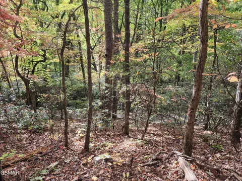 11 Bluff Mtn. Rd.