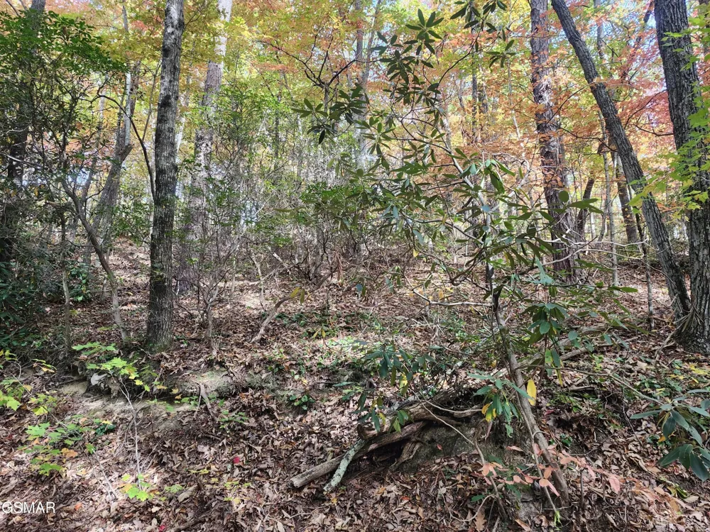 11 Bluff Mtn. Rd. Sevierville, TN 37876