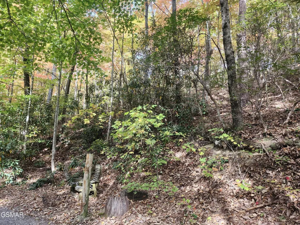 11 Bluff Mtn. Rd. Sevierville, TN 37876